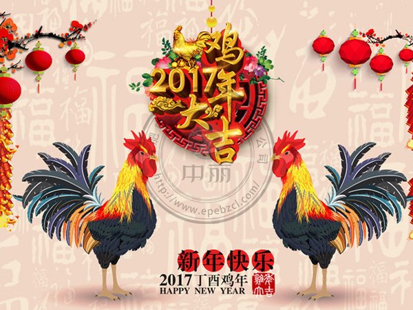合肥中麗包裝材料有限公司